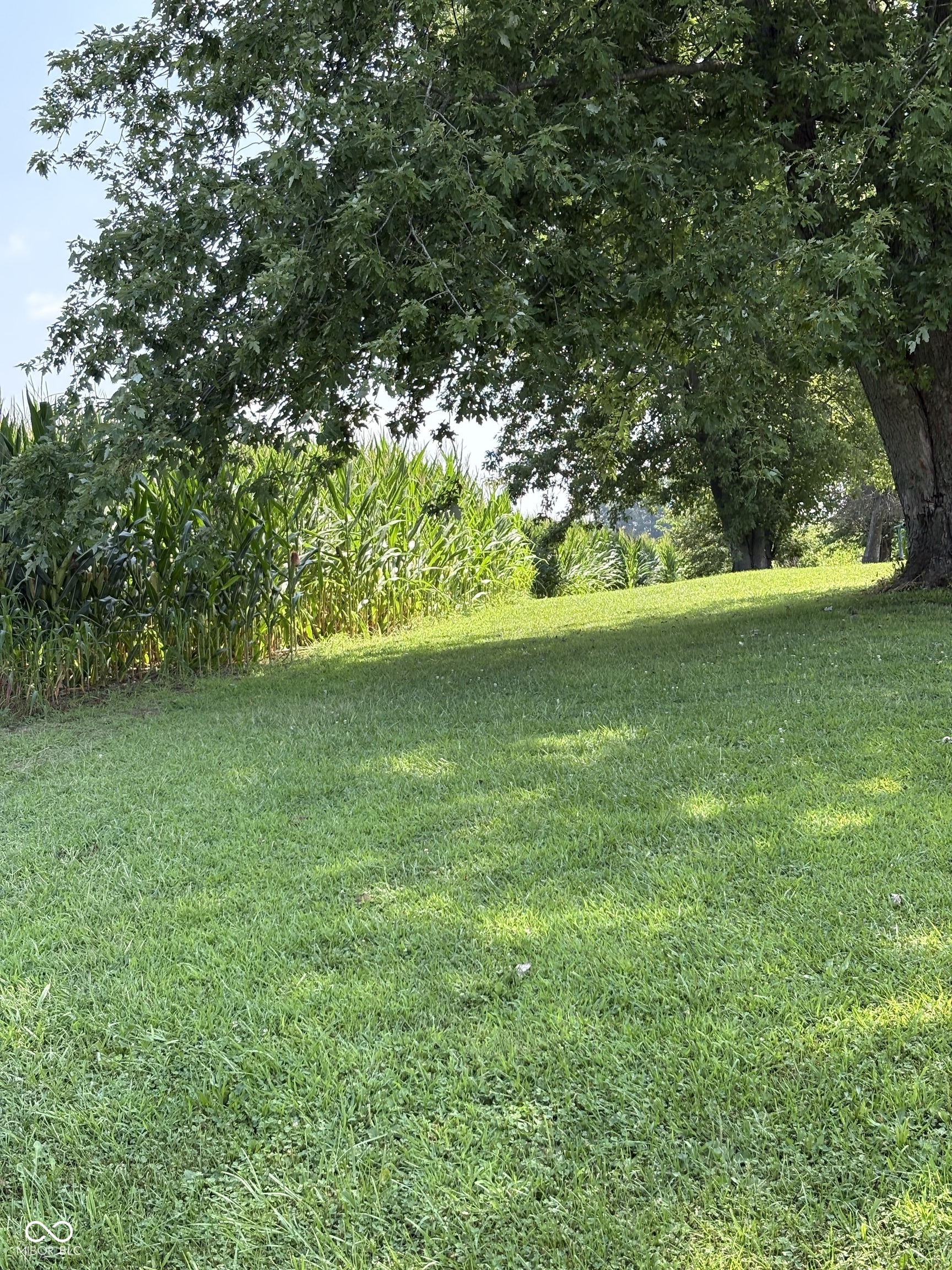 0 Leitzman North Road Paragon, IN 46166 - Photo 2 of 9