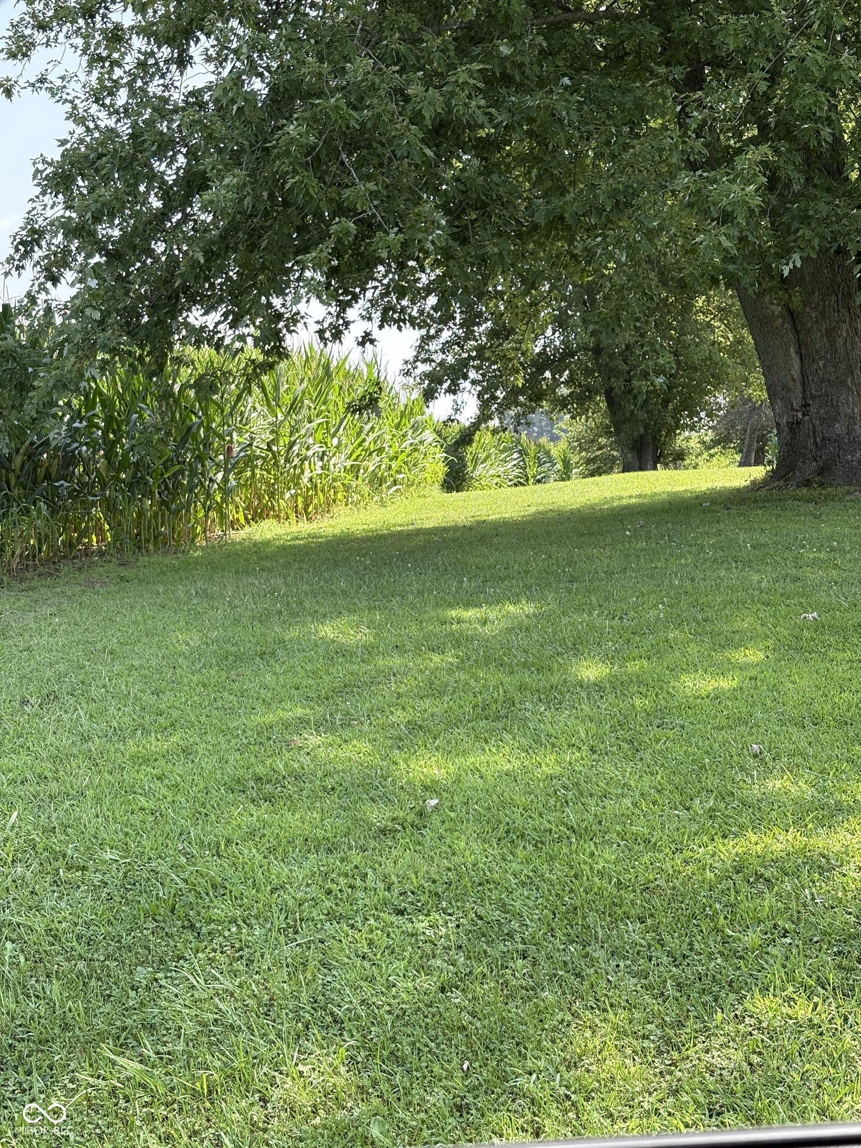 0 Leitzman North Road Paragon, IN 46166 - Photo 3 of 9