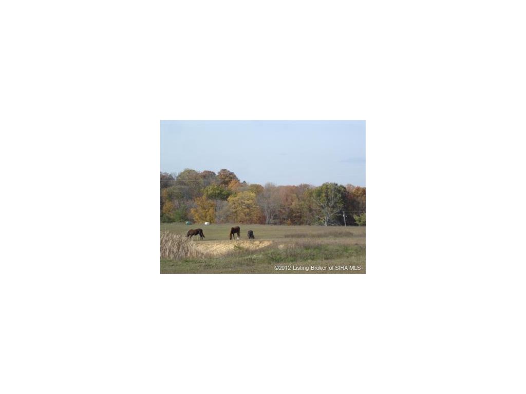 824 Leon Prall Road Otisco, IN 47163 - Photo 4 of 5
