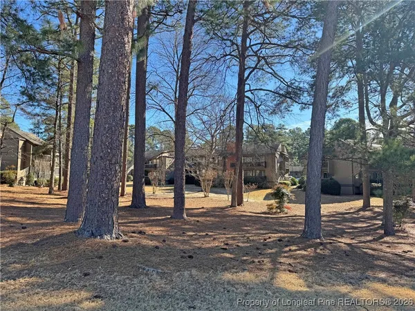 a view of road and trees