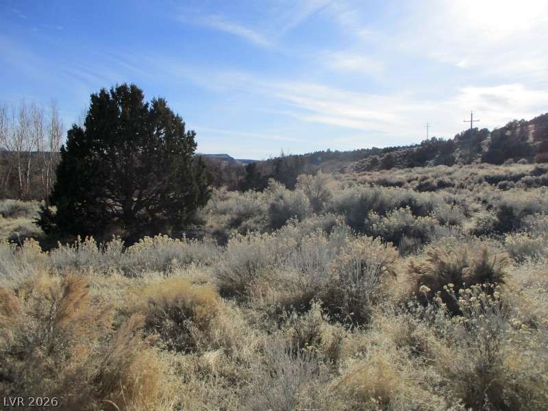 322 (2.19 Ac) Pioche, NV 89043 - Photo 2 of 5 View of nature
