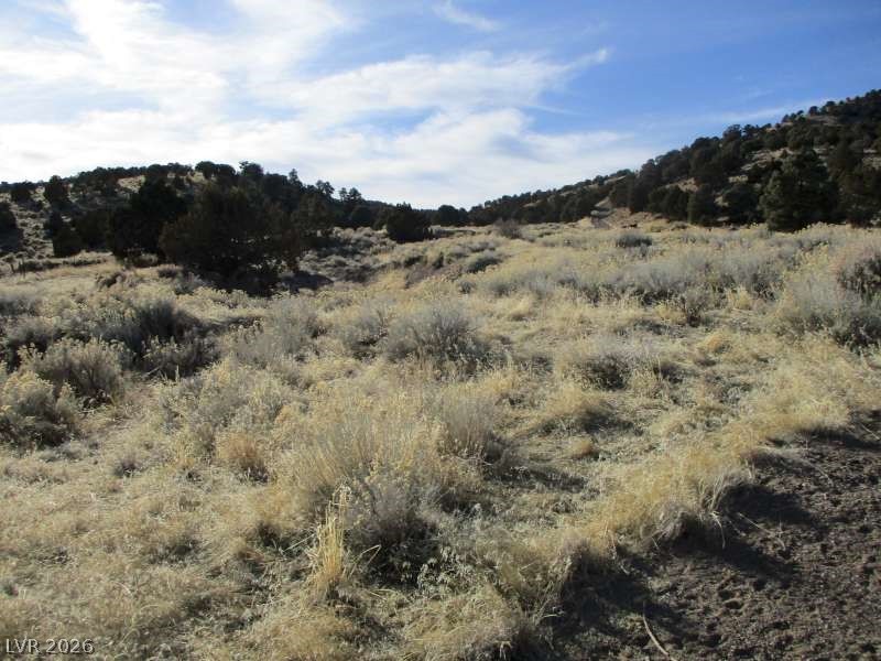322 (2.19 Ac) Pioche, NV 89043 - Photo 3 of 5 View of undeveloped land