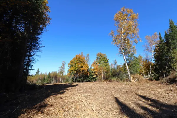 $934,900 | 85780 Smith Drive, Port Wing, WI 54865