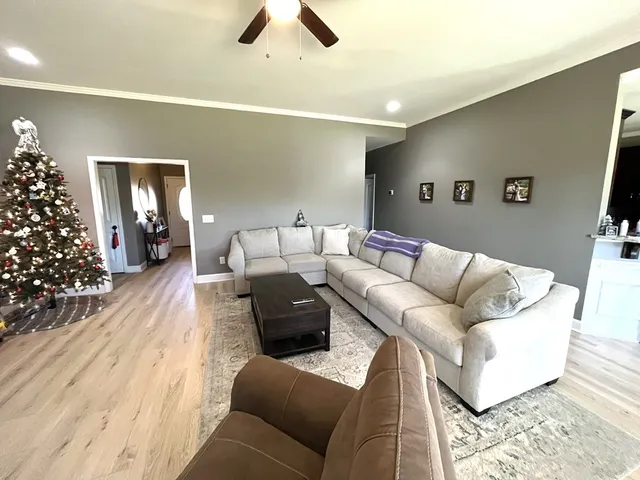 a living room with furniture and a potted plant