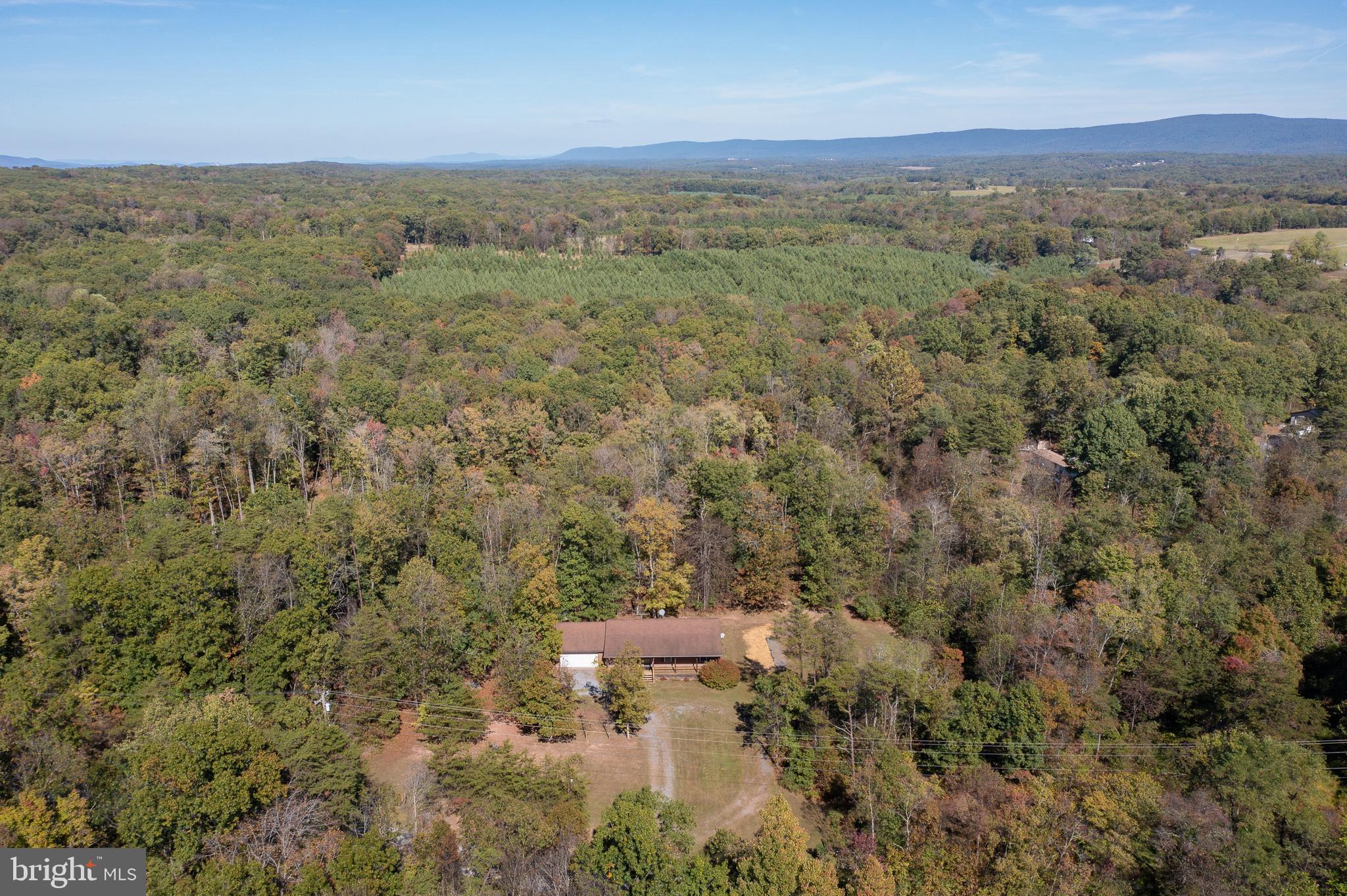 228 Sleepywoods Road Cross Junction, VA 22625 - Photo 29 of 34 a view of a city with lush green forest