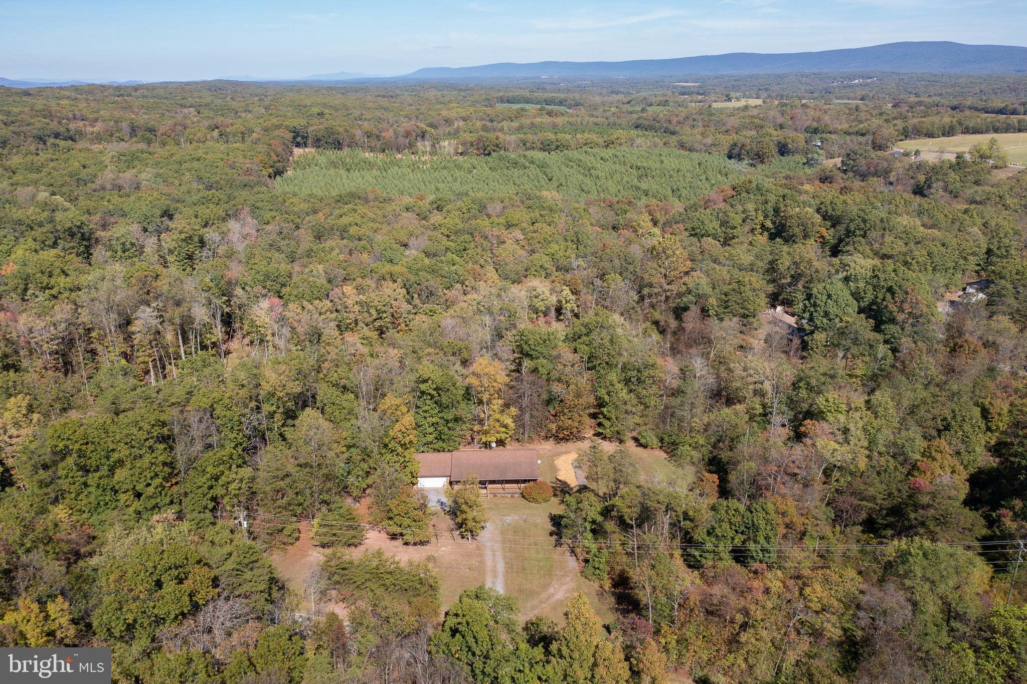 228 Sleepywoods Road Cross Junction, VA 22625 - Photo 30 of 34 a view of a city with lush green forest