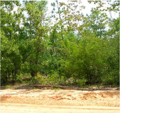 Lot 72 Raphael Boulevard DeFuniak Springs, FL 32433 - Photo 4 of 4 Additional Photo