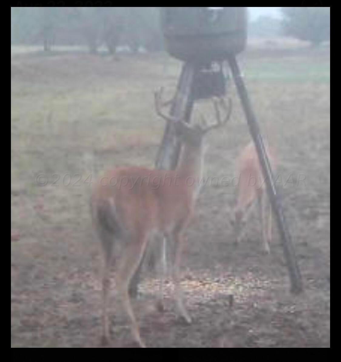 12 Co Road Shamrock, TX 79079 - Photo 24 of 26 Game Cam 3