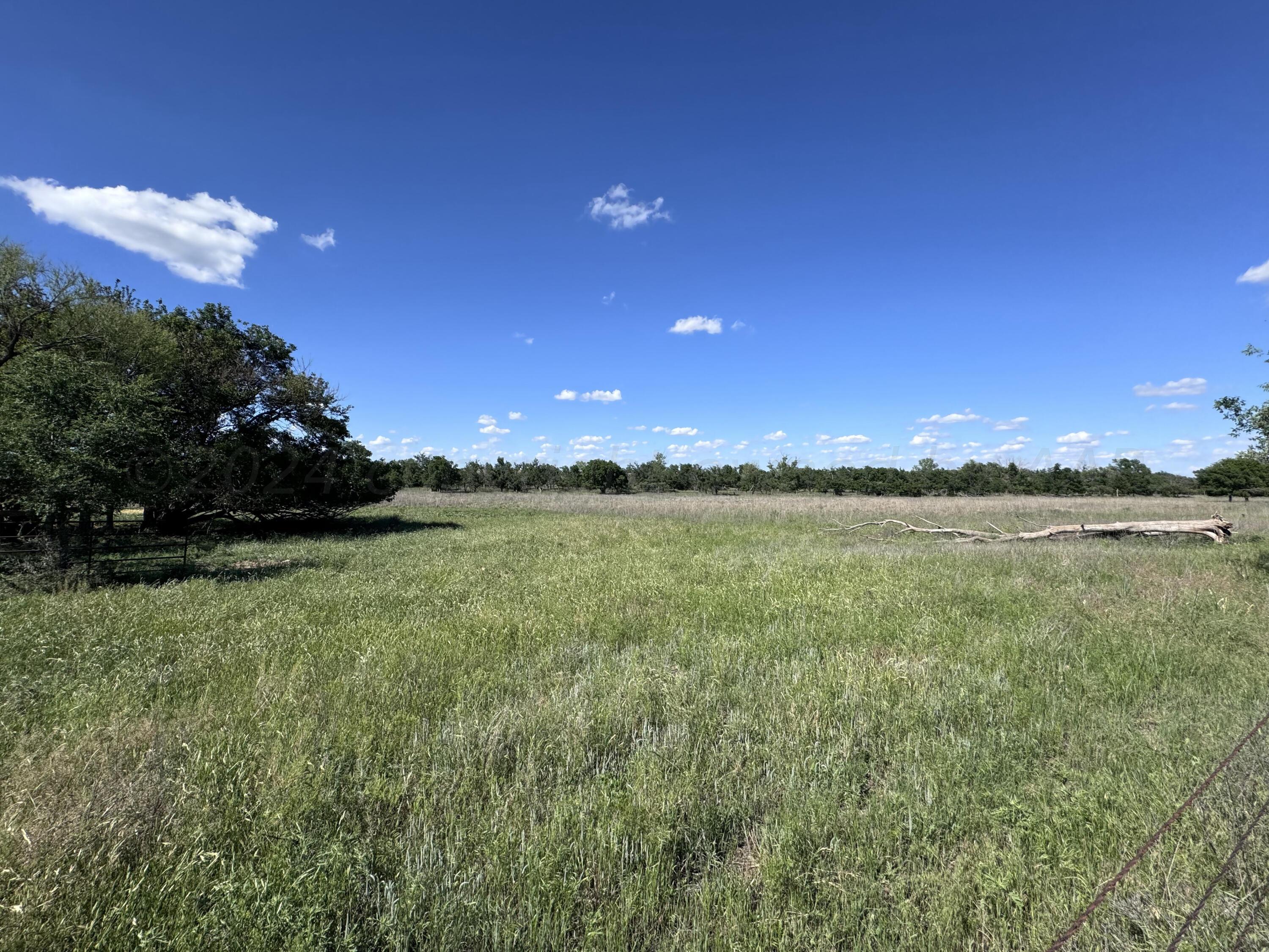 12 Co Road Shamrock, TX 79079 - Photo 9 of 26 IMG_0509 4
