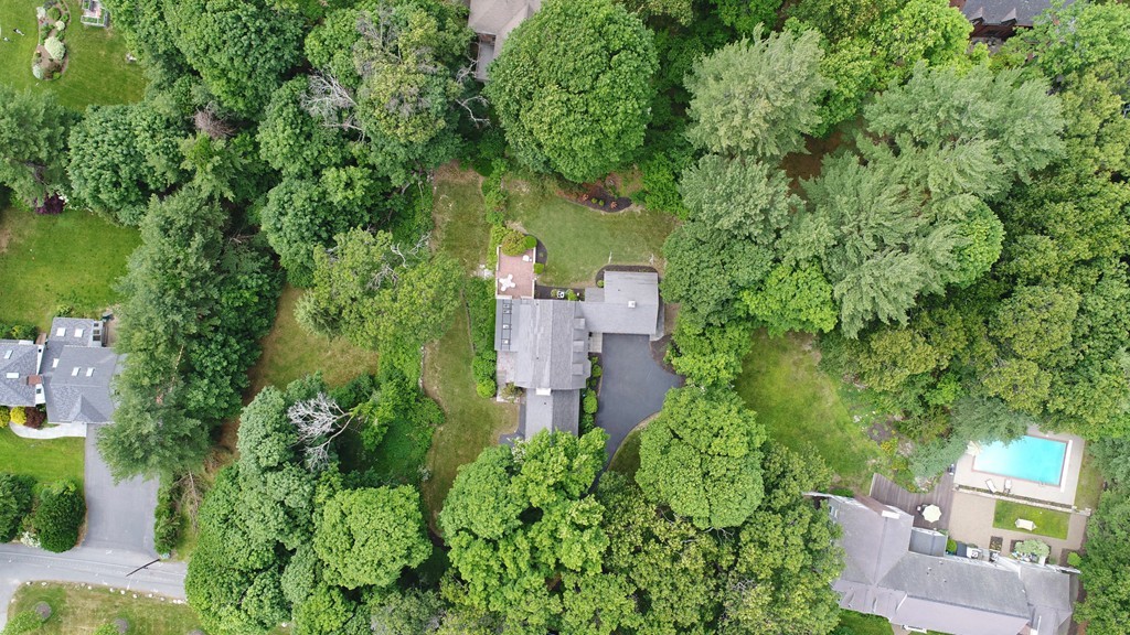 71 Myopia Road Winchester, MA 01890 - Photo 4 of 30