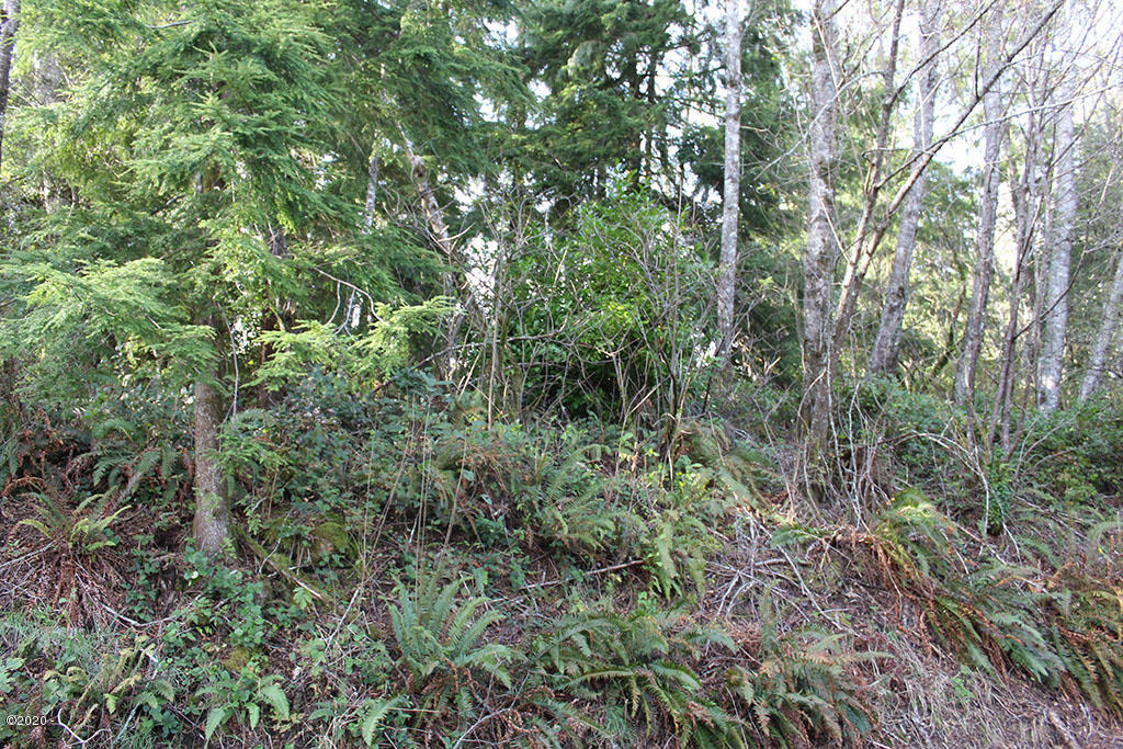 146960 Pike Road Tillamook, OR 97141 - Photo 2 of 5 IMG_4970rs