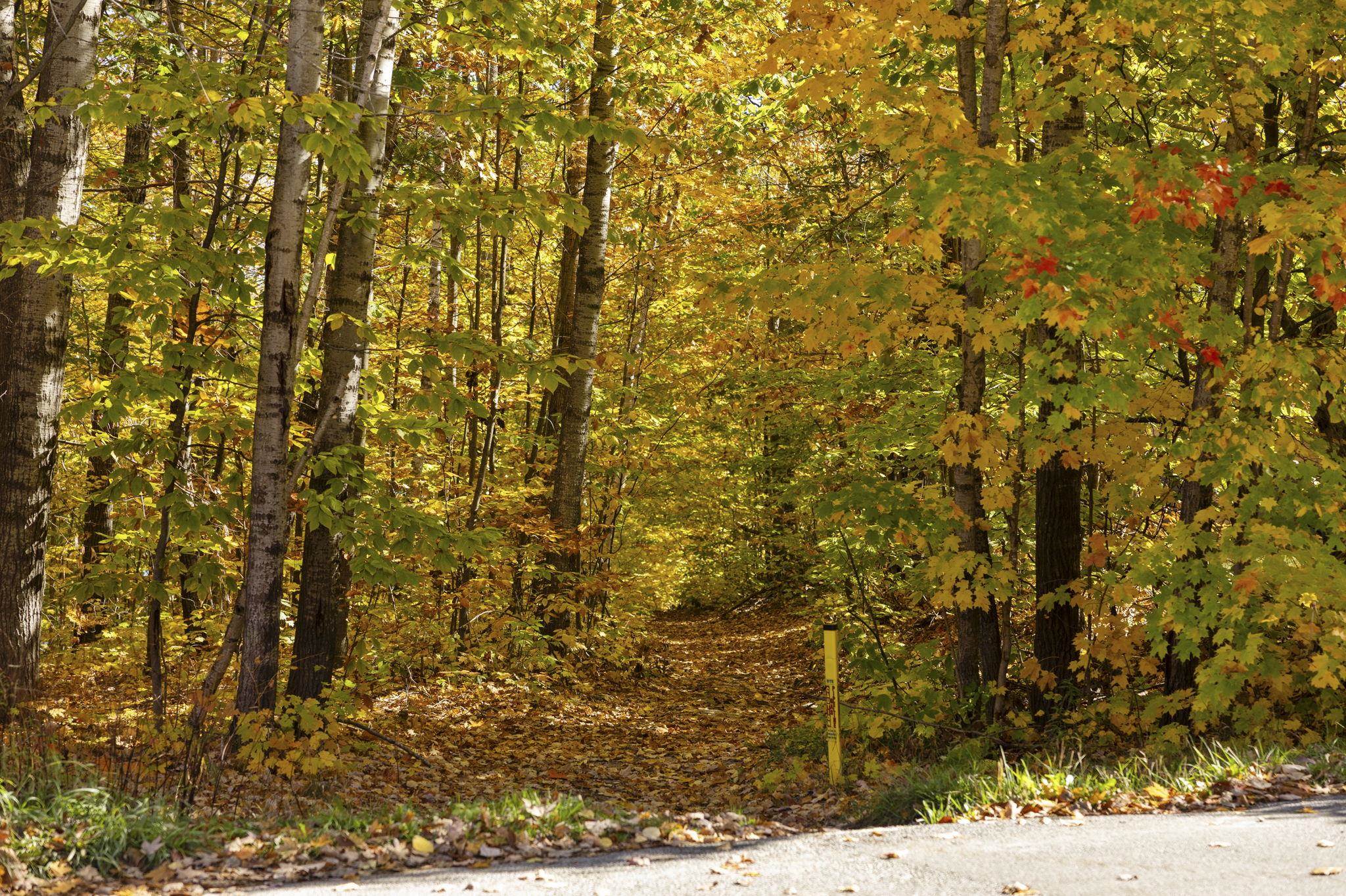 7149 West Blue Lake Road Northeast Kalkaska, MI 49646 - Photo 24 of 67