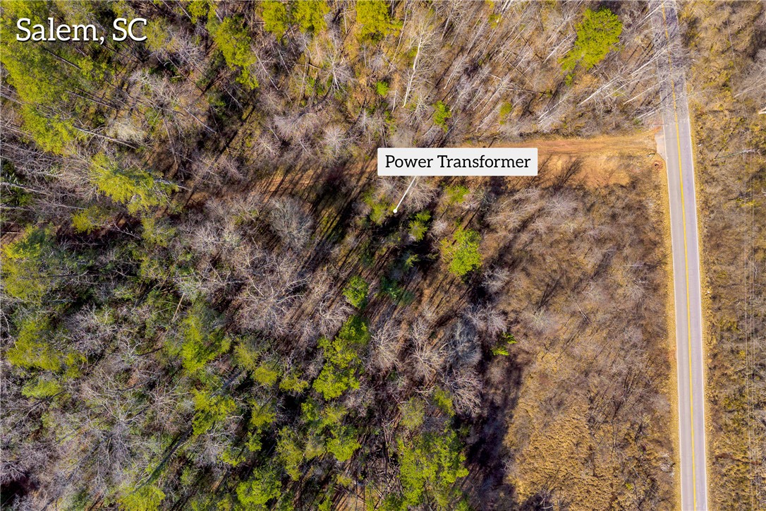 239 North Little River Road Salem, SC 29676 - Photo 39 of 43 An expansive wooded lot provides a serene setting, perfect for your future home.