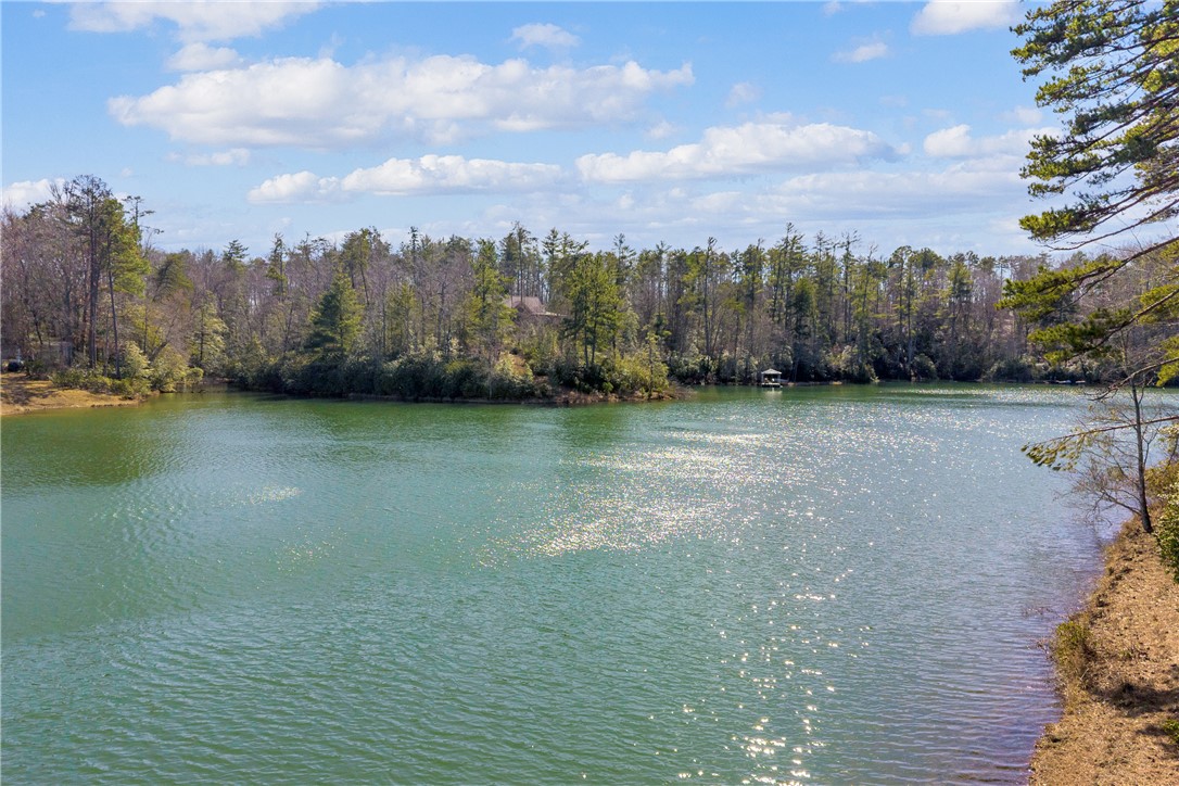 239 North Little River Road Salem, SC 29676 - Photo 42 of 43 This tranquil lake offers serene waterfront living amidst lush, natural surroundings.