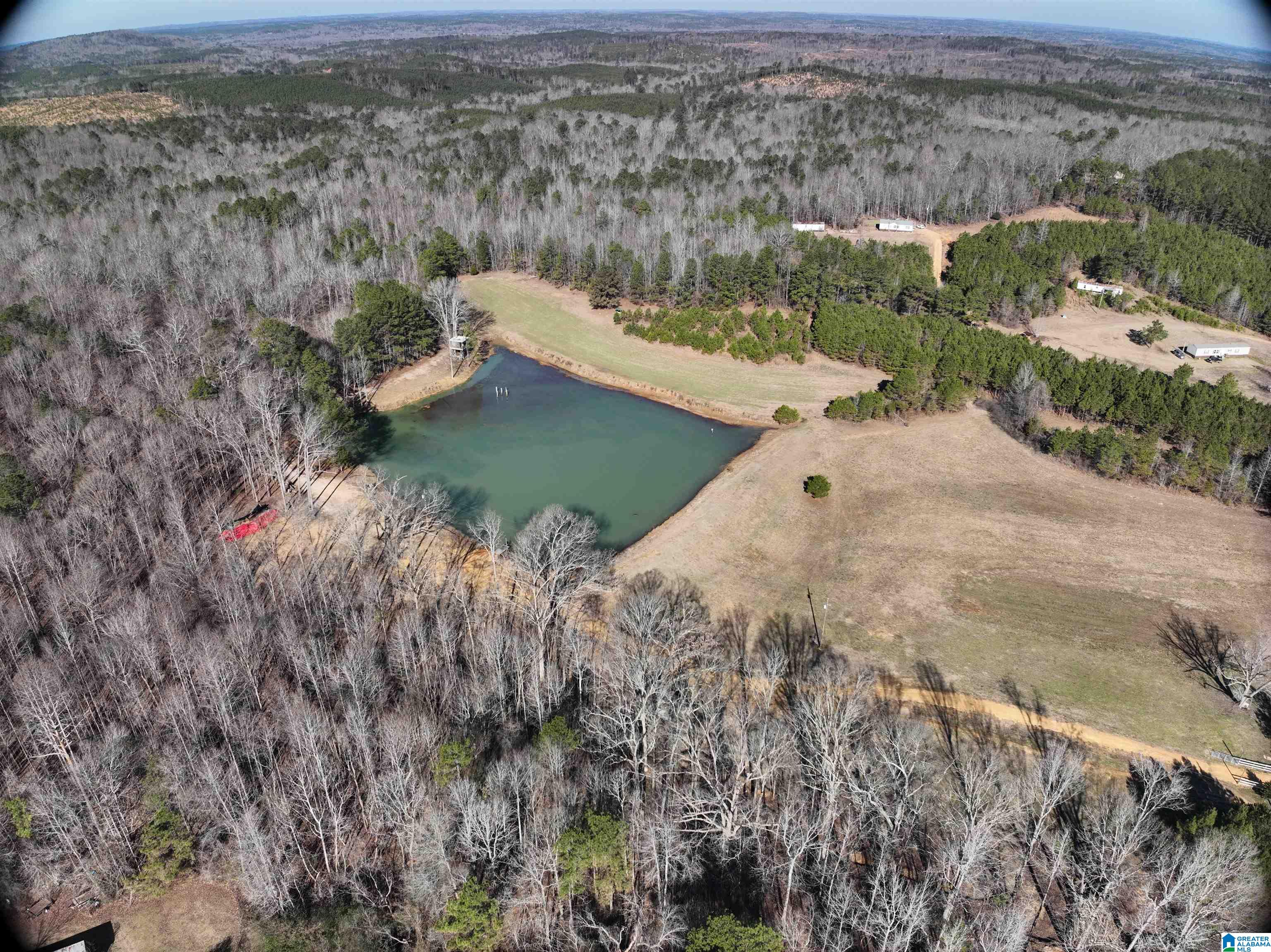 6171 Highway 102, Unit 1 Fayette, AL 35555 - Photo 6 of 68