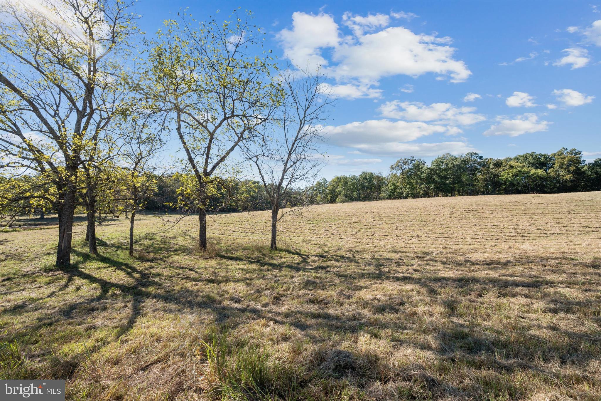 Lot 9 Slate Lane Stephenson, VA 22656 - Photo 5 of 9