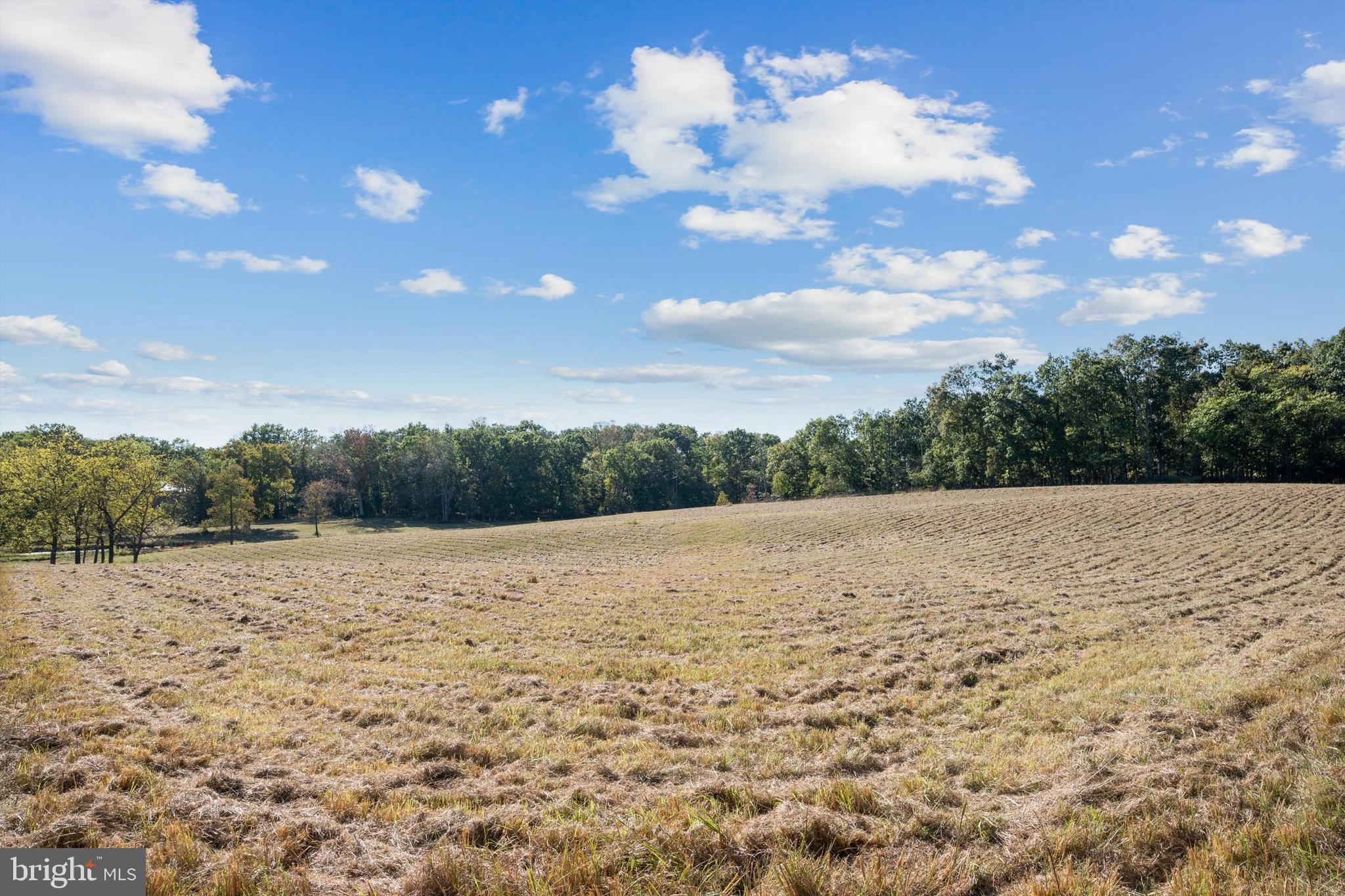 Lot 9 Slate Lane Stephenson, VA 22656 - Photo 6 of 9 a view of an outdoor space and a yard