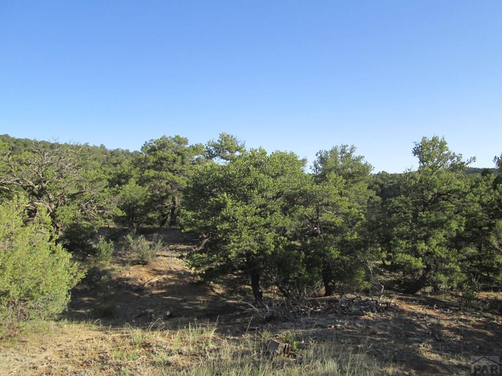 Lot #2 Milligan Ranch Gardner, CO 81040 - Photo 22 of 35 Gallery Image 22