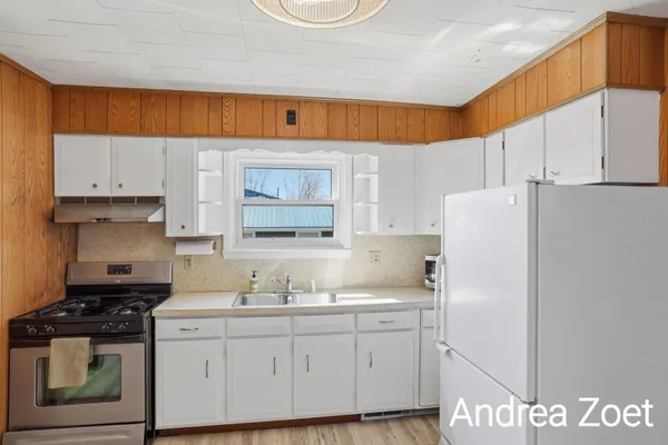 $250,000 | 471 4th Avenue, Lake Odessa, MI 48849