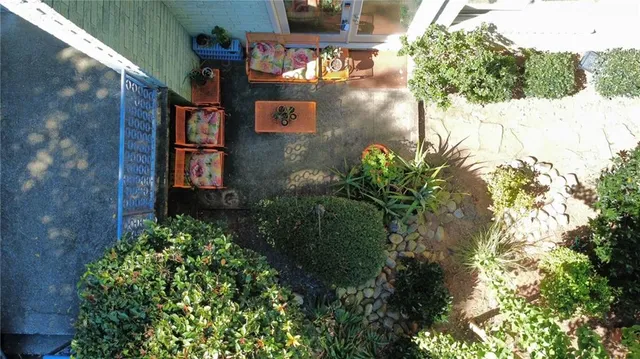 a view of a flower in a garden