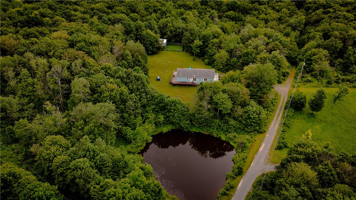 560 Spring Brook Estates Road Colchester, NY 12776 - Photo 1 of 1 Gallery Image 1