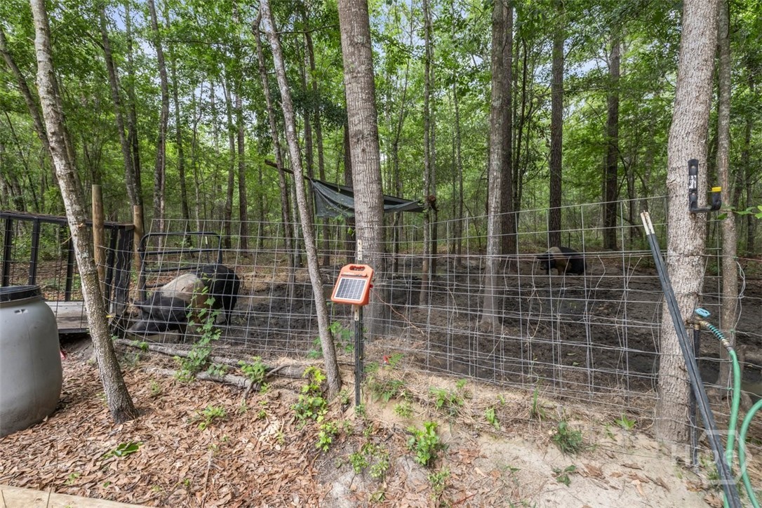 373 Chuck Ellis Road Portal, GA 30450 - Photo 33 of 67