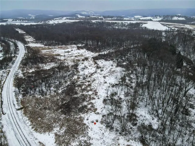 a view of a yard with large trees