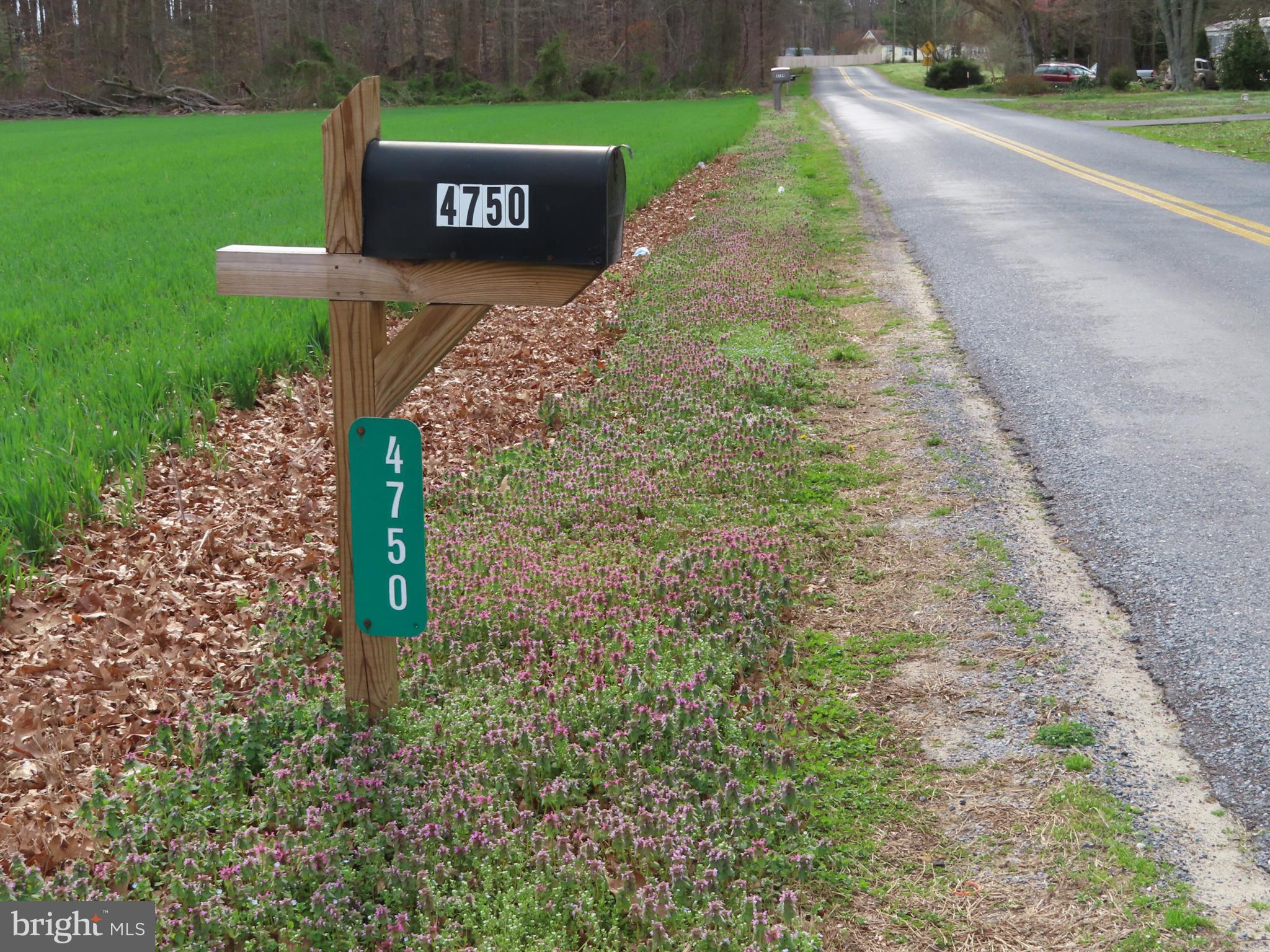 4750 Poplar Neck Road Preston, MD 21655 - Photo 1 of 53 4750 Poplar Neck Rd. Preston MD.