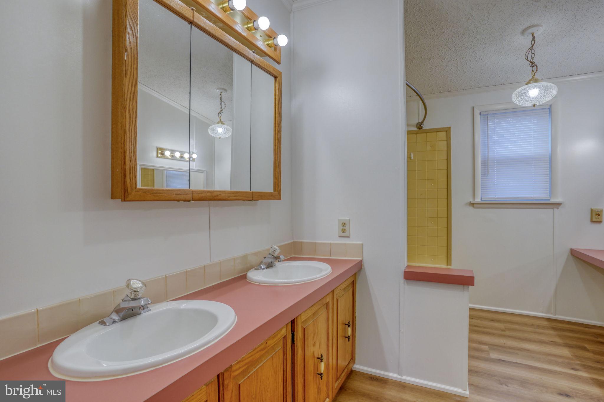 4285 Carpenter Bridge Road Felton, DE 19943 - Photo 36 of 45 a bathroom with a sink and a mirror