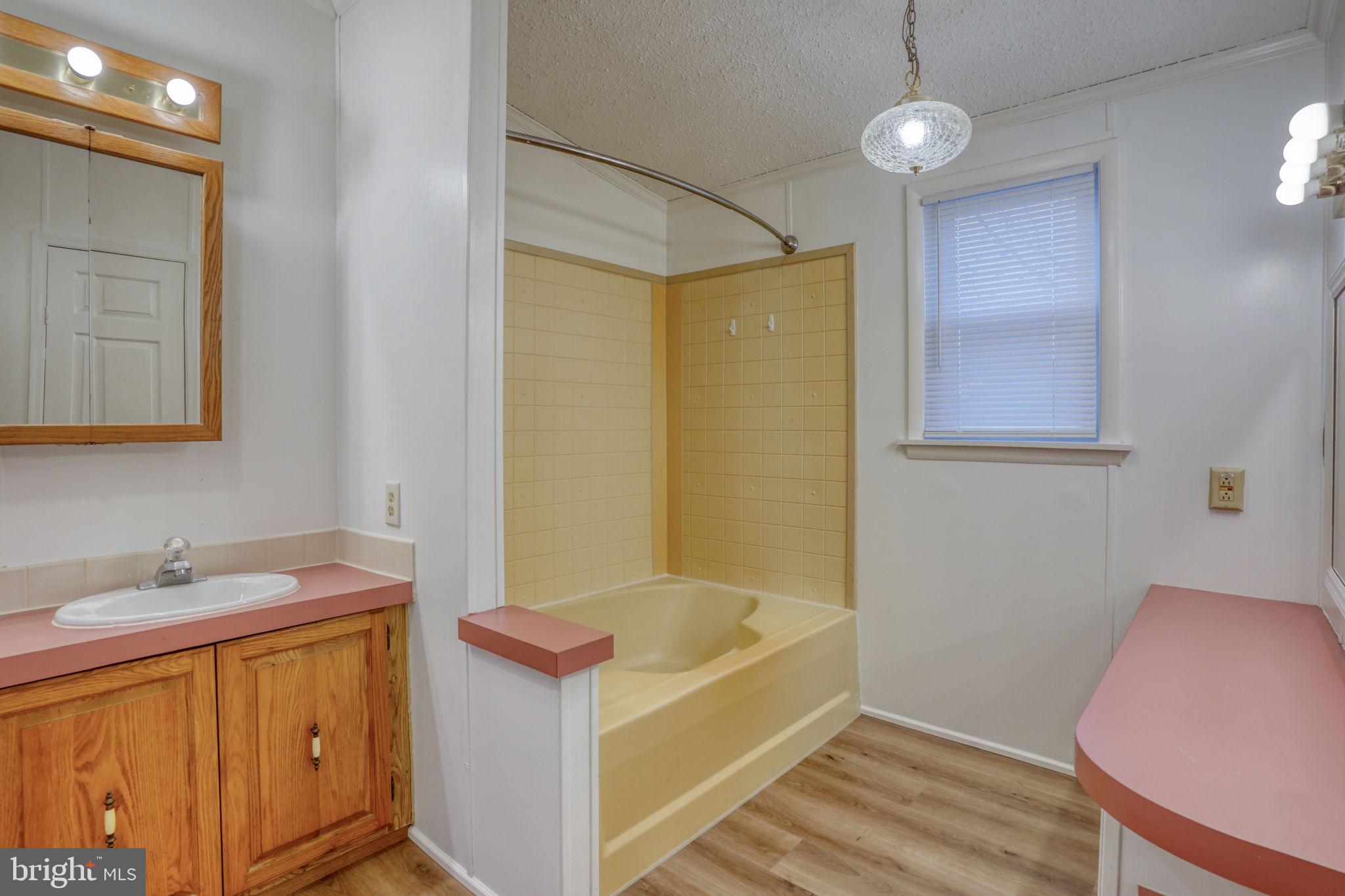 4285 Carpenter Bridge Road Felton, DE 19943 - Photo 38 of 45 a bathroom with a tub sink and mirror