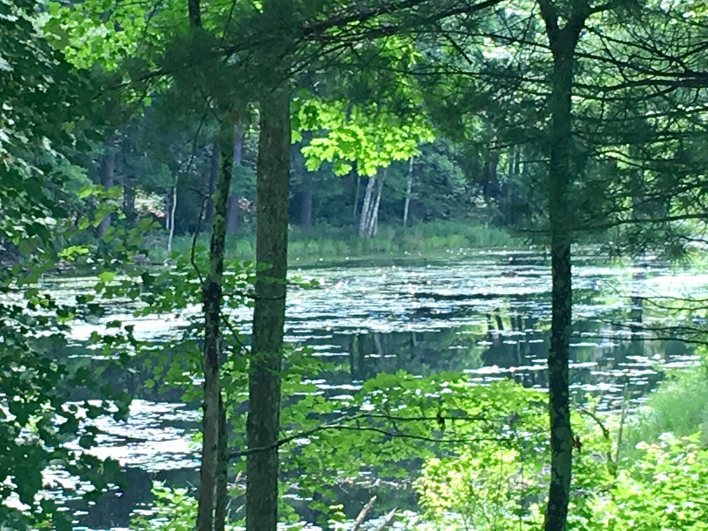 64 Farm Pond Road Oakham, MA 01068 - Photo 20 of 20