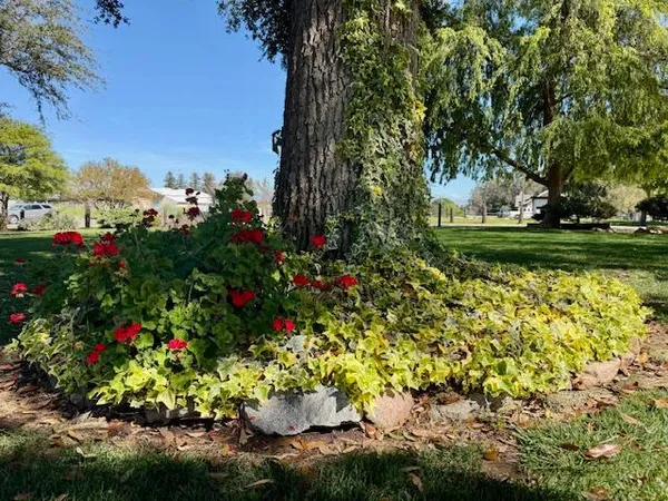 $990,000 | 6560 North Bethel Avenue, Clovis, CA 93619