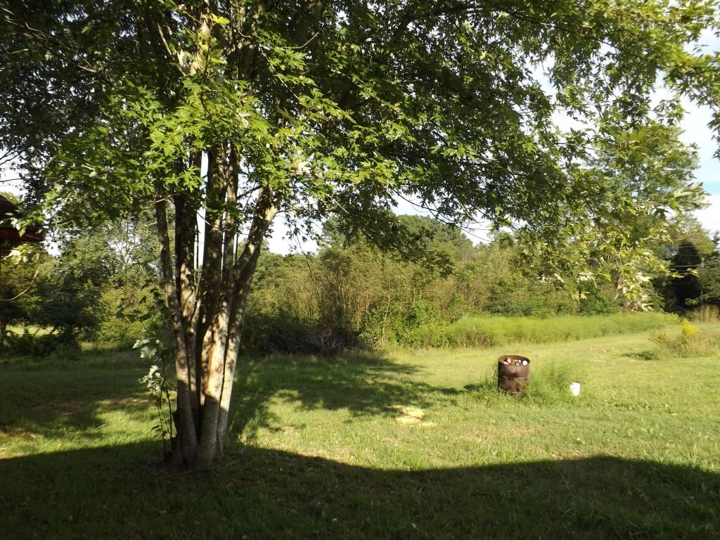 4874 Wolf Creek Road Spring City, TN 37381 - Photo 36 of 39 property 2
