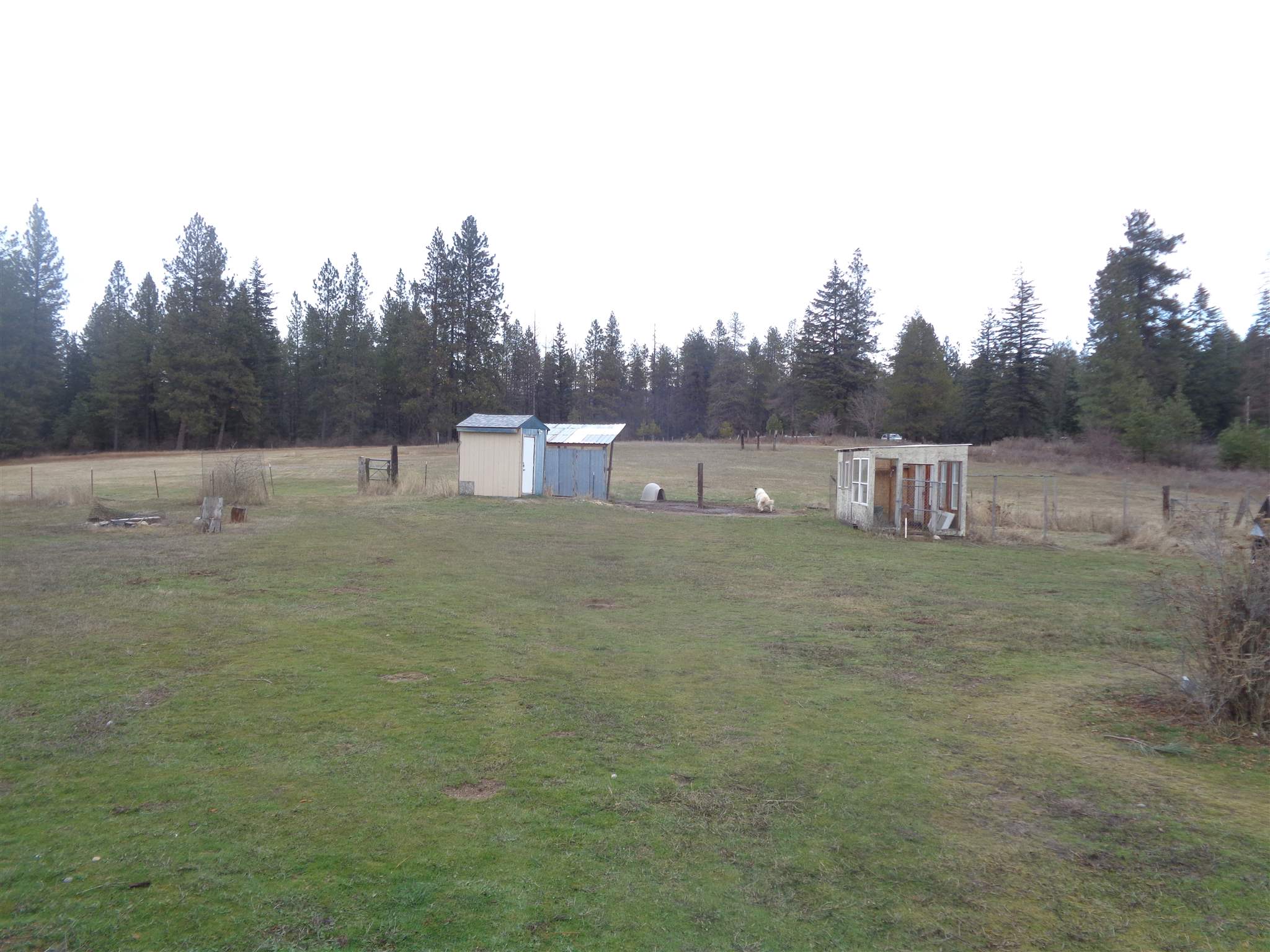 37717 North Chapman Road Elk, WA 99009 - Photo 21 of 23