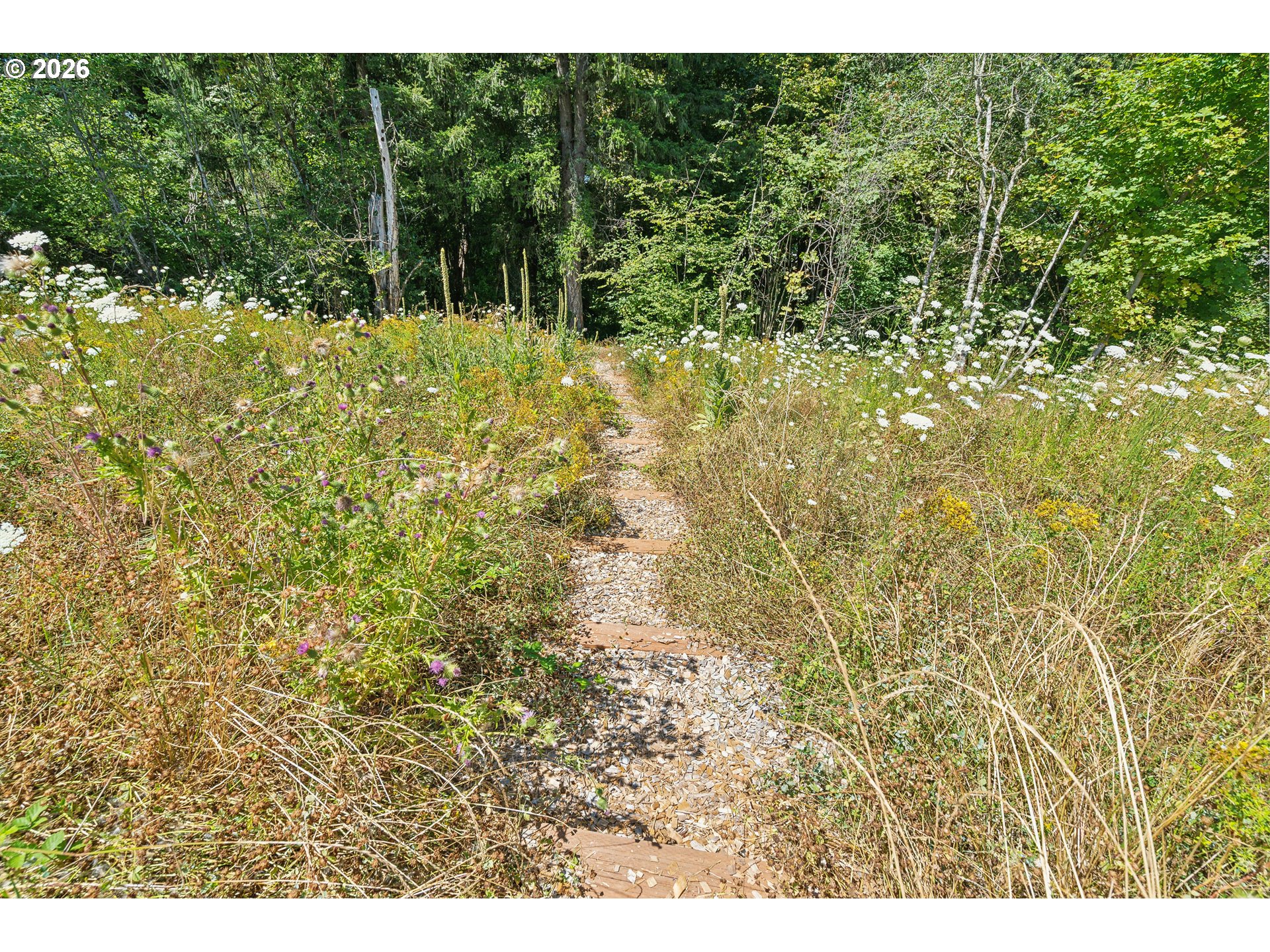 16658 Southwest Rubicon Lane Tigard, OR 97224 - Photo 21 of 24