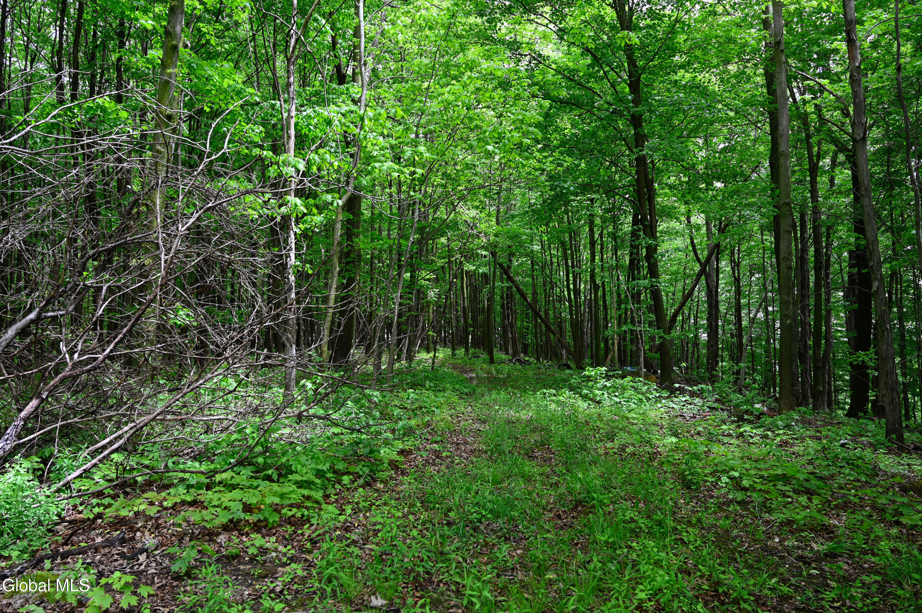 144 Maple Bush Road Cobleskill, NY 12043 - Photo 62 of 83 DSC_7281