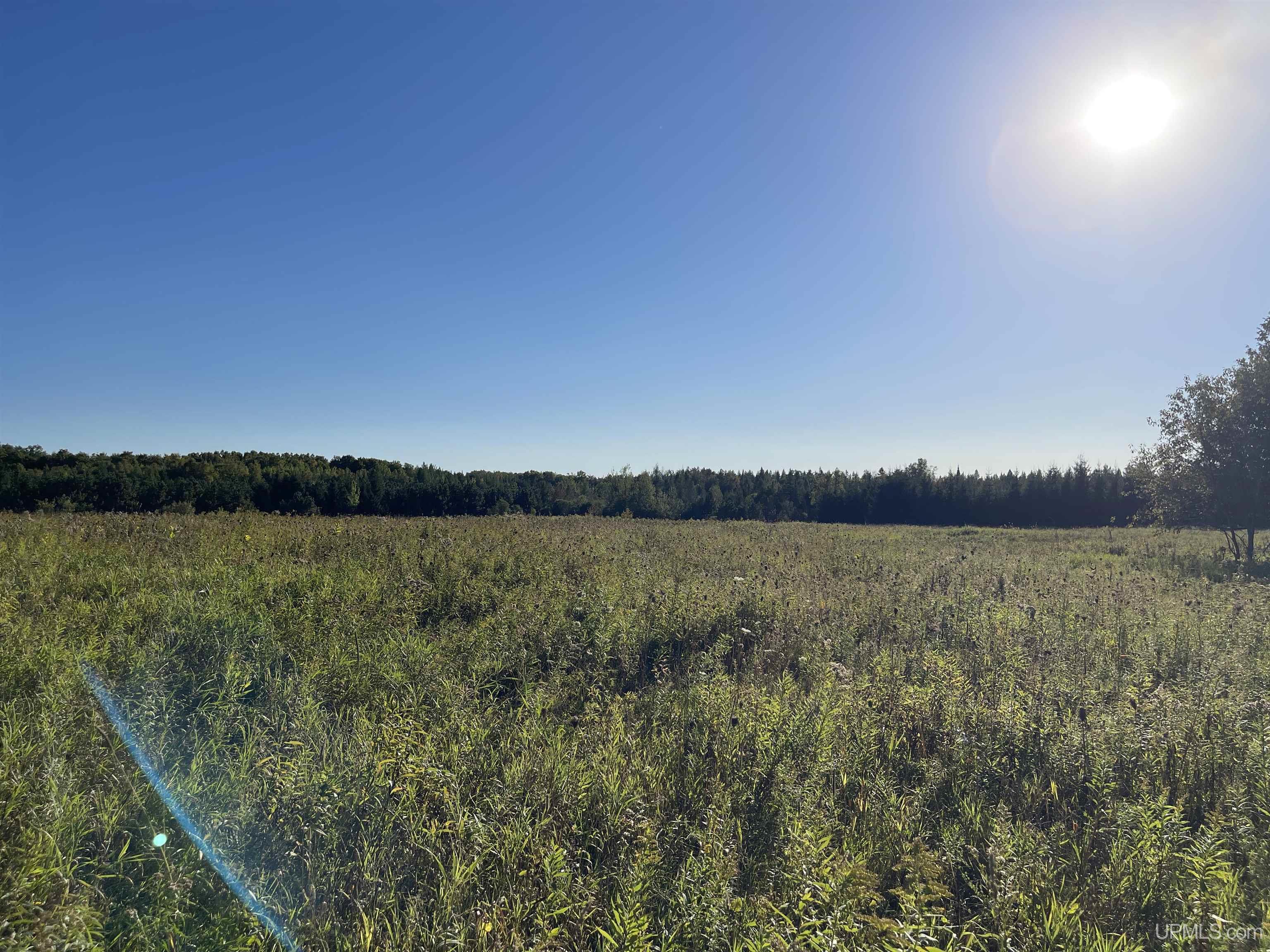 40-acres County Pit Road, Unit PARCEL #4 Manistique, MI 49854 - Photo 6 of 41 Gallery Image 6