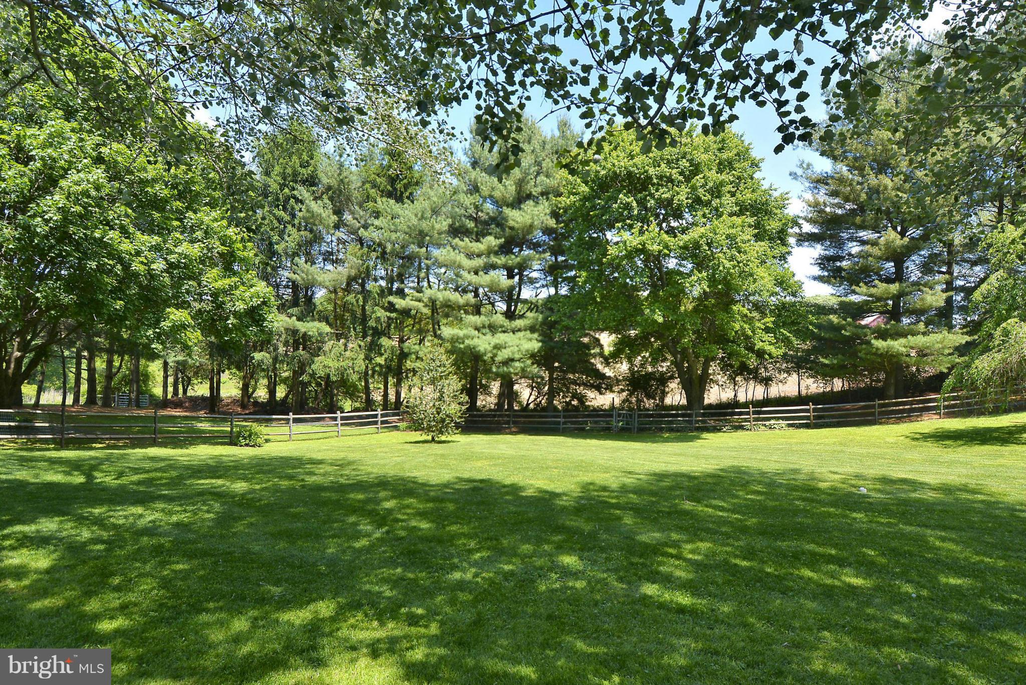 16441 Jm Pearce Road Monkton, MD 21111 - Photo 8 of 29 View from house into the yard