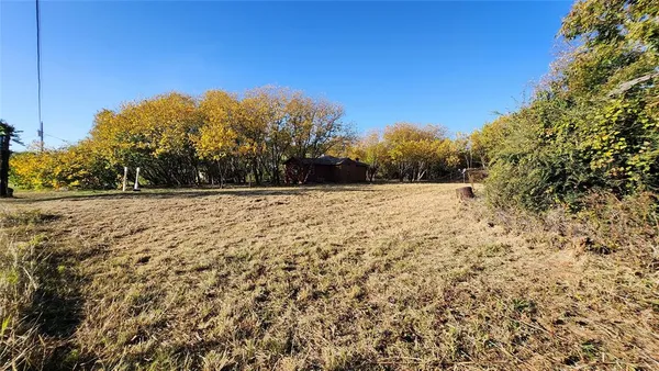a view of plants and trees