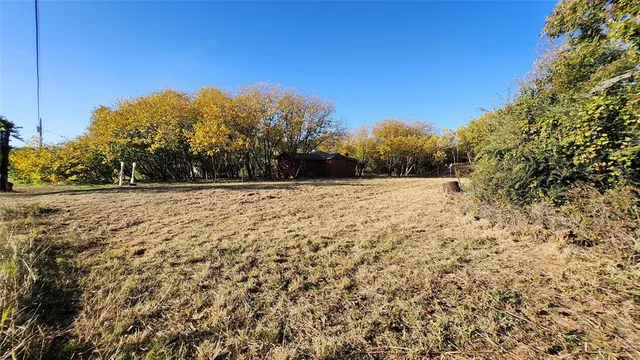 a view of plants and trees
