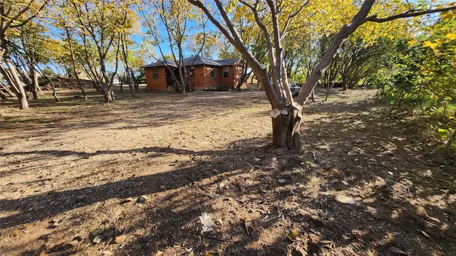 a view of a yard with a tree