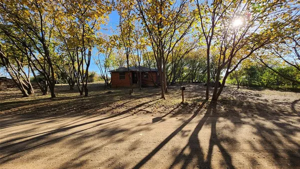 a view of a yard with trees