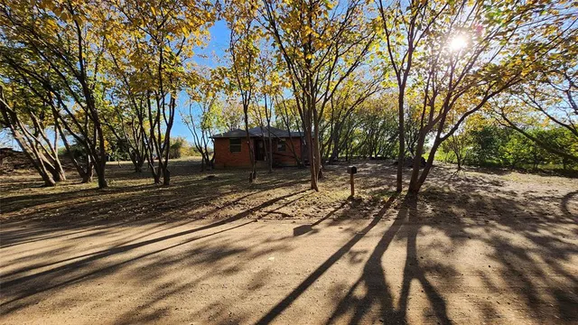 a view of a yard with trees