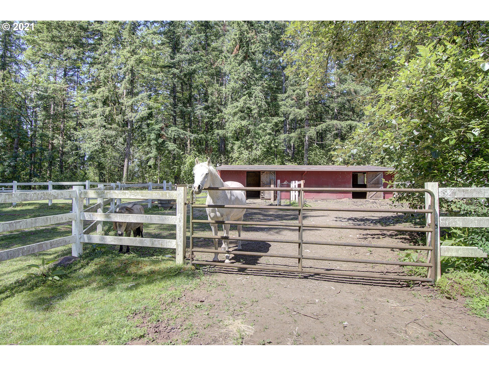 18921 South Grasle Road Oregon City, OR 97045 - Photo 23 of 32 Gallery Image 23