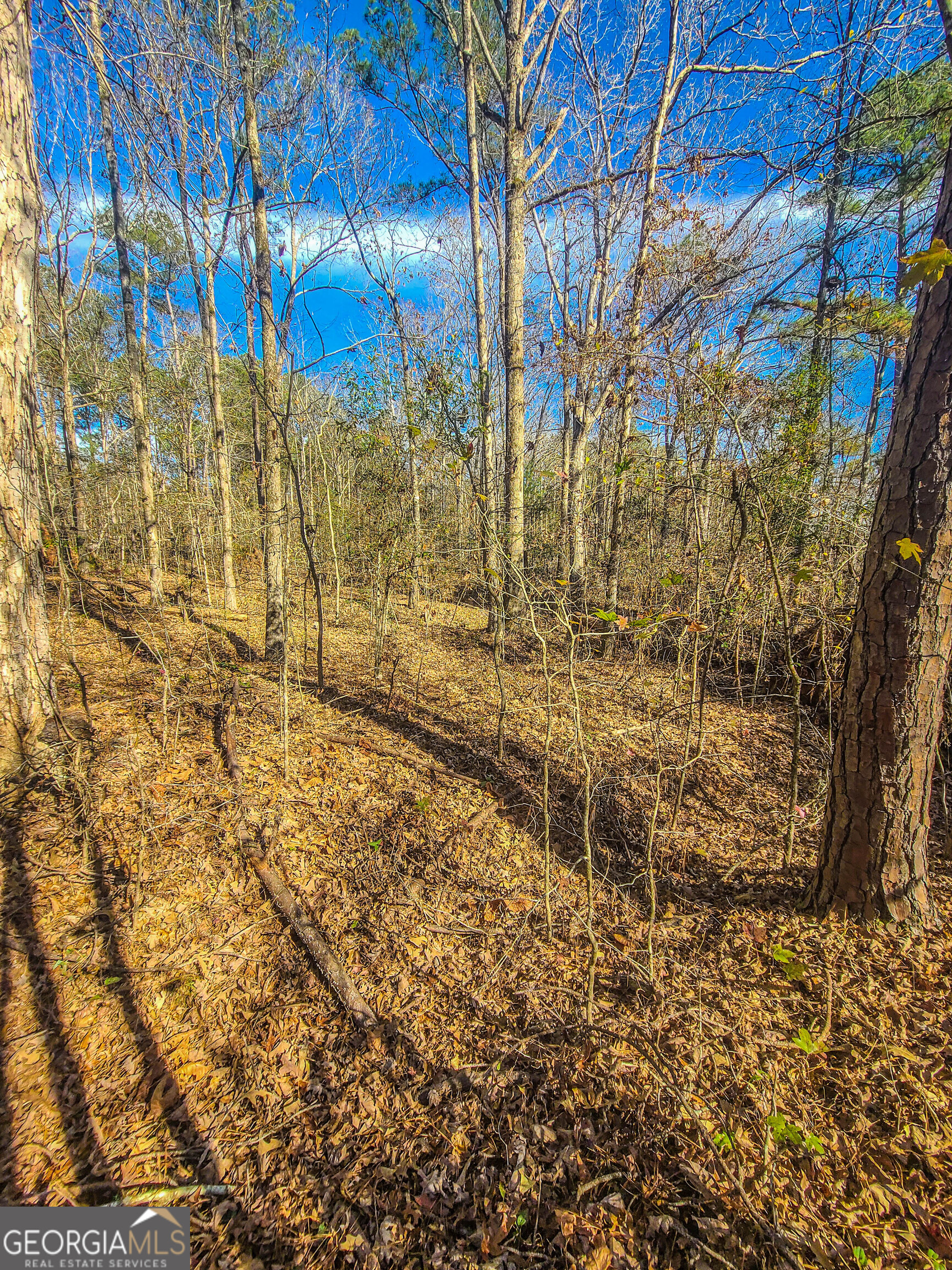 0 Haley Road Jackson, GA 30233 - Photo 14 of 18