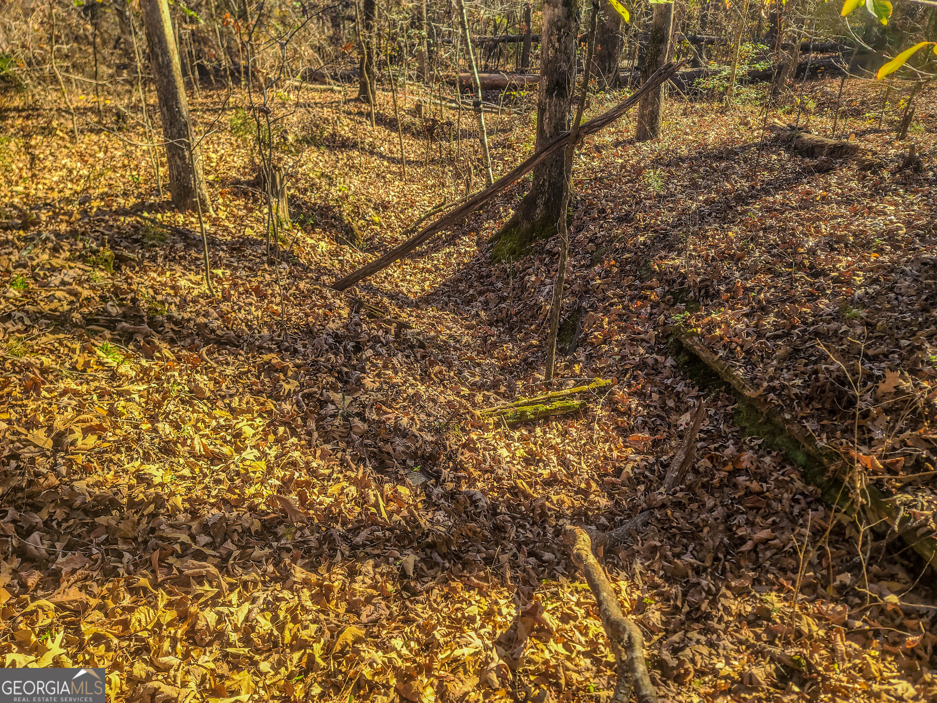 0 Haley Road Jackson, GA 30233 - Photo 15 of 18