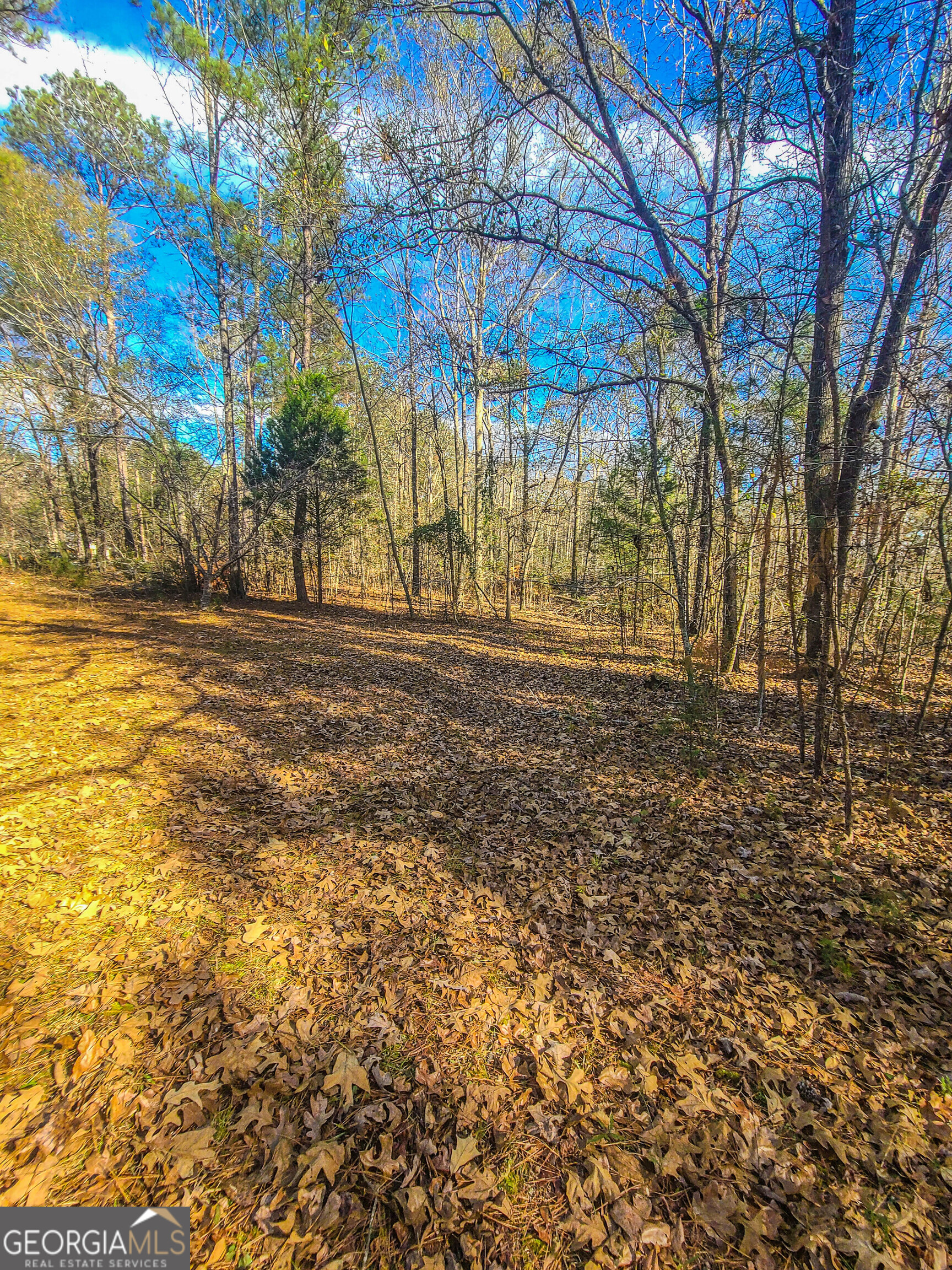 0 Haley Road Jackson, GA 30233 - Photo 18 of 18