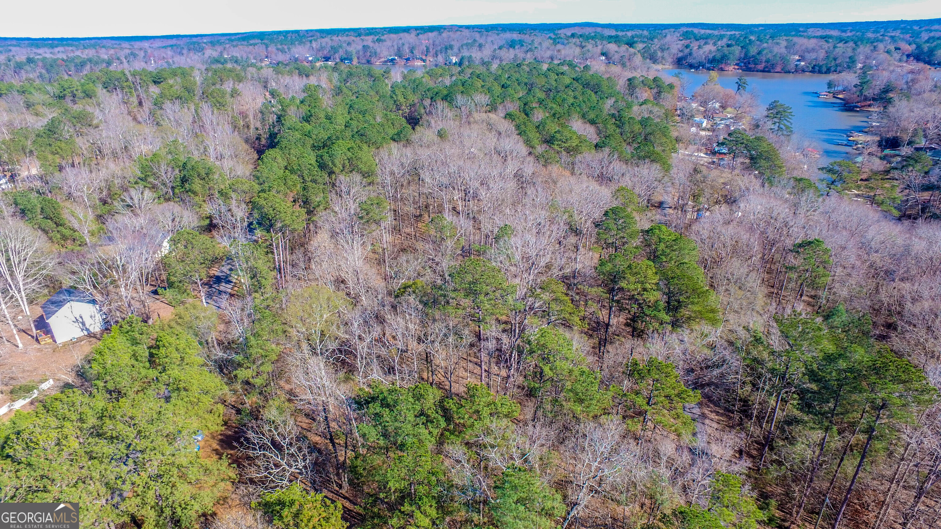 0 Haley Road Jackson, GA 30233 - Photo 3 of 18