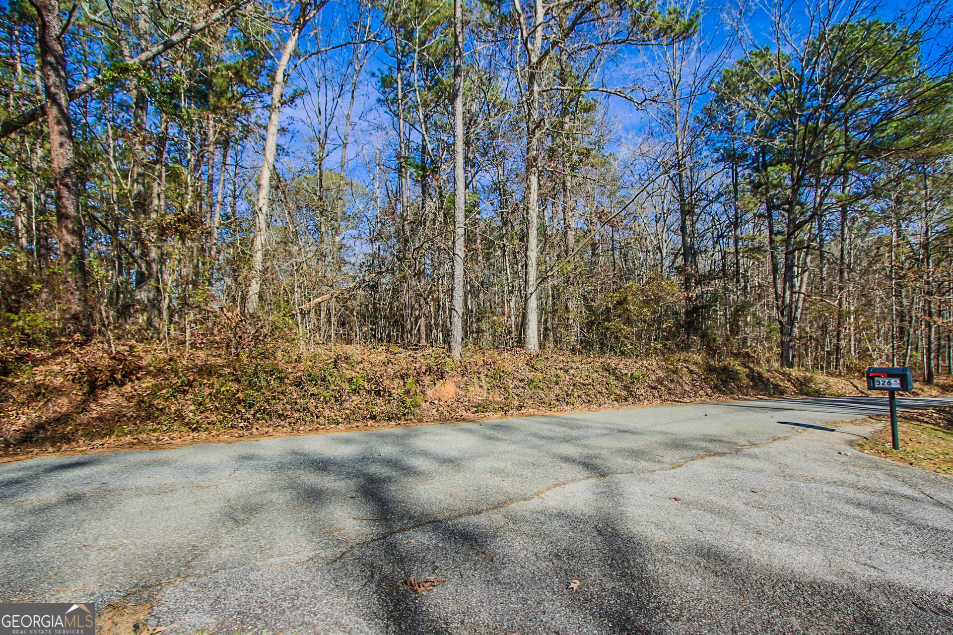 0 Haley Road Jackson, GA 30233 - Photo 4 of 18