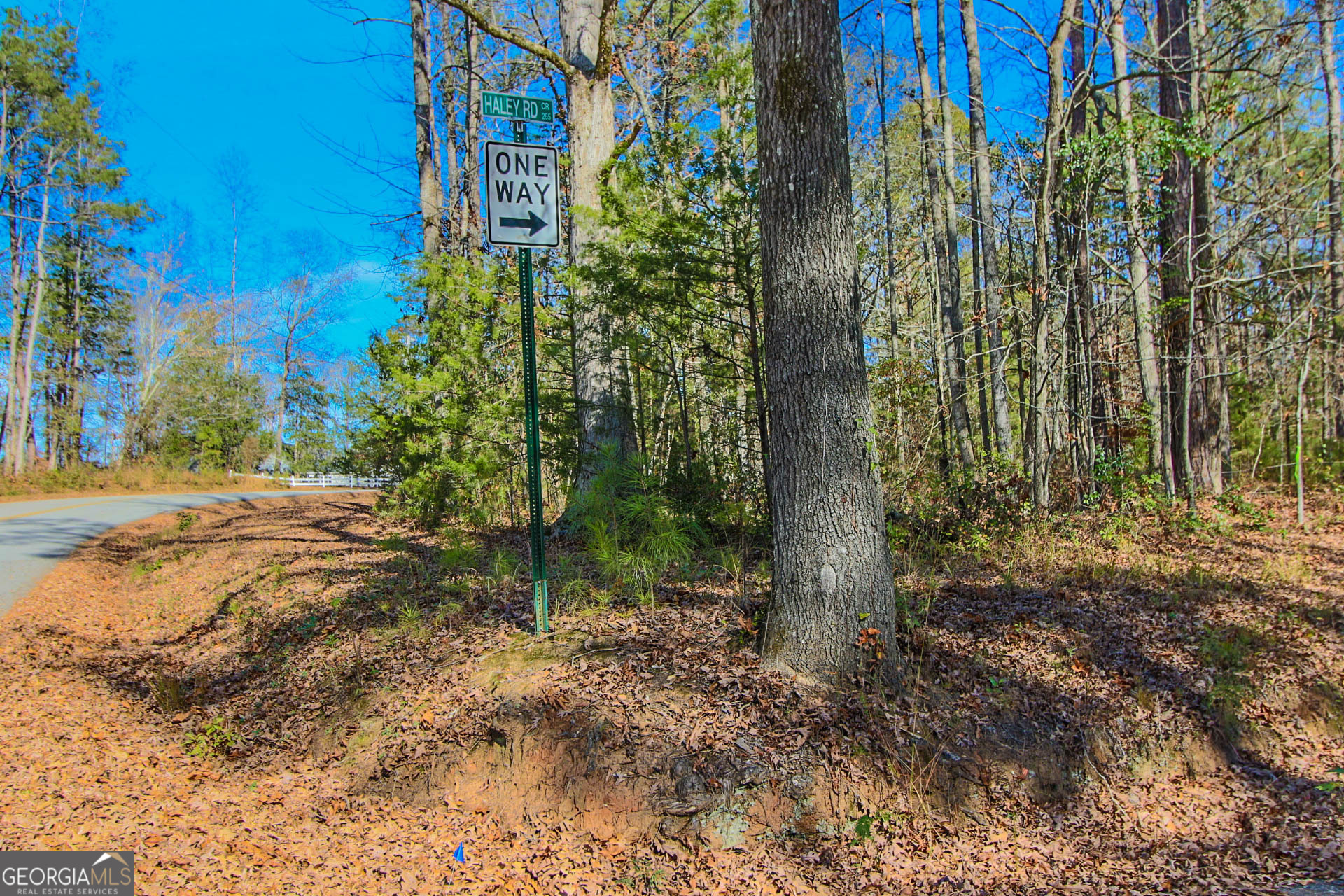 0 Haley Road Jackson, GA 30233 - Photo 5 of 18
